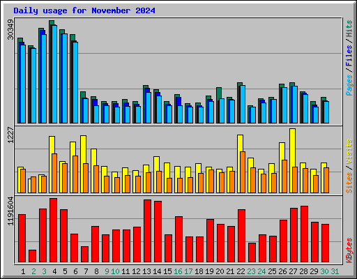 Daily usage for November 2024