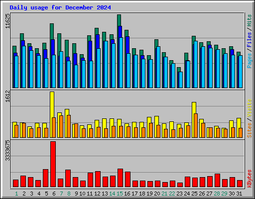 Daily usage for December 2024