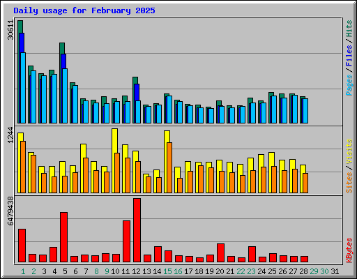 Daily usage for February 2025