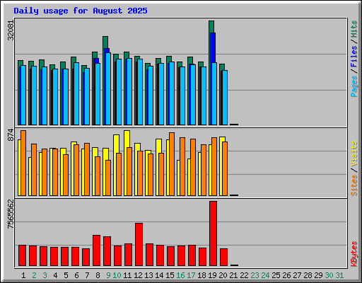 Daily usage for August 2025