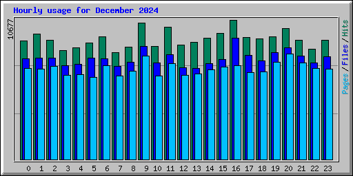Hourly usage for December 2024