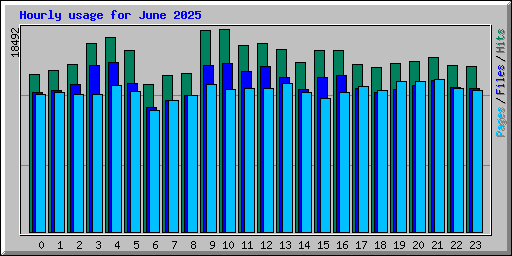 Hourly usage for June 2025