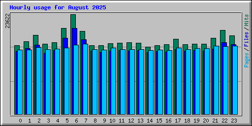 Hourly usage for August 2025