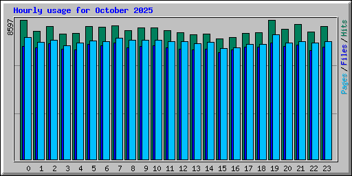 Hourly usage for October 2025